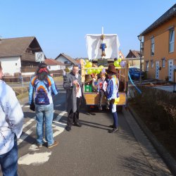 Faschingsumzug Mosbach 2015