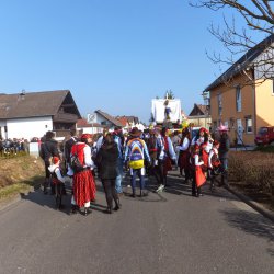 Faschingsumzug Mosbach 2015