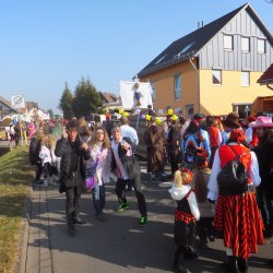 Faschingsumzug Mosbach 2015