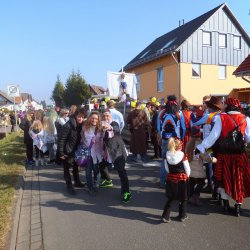 Faschingsumzug Mosbach 2015