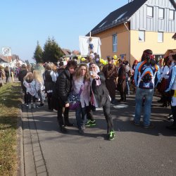 Faschingsumzug Mosbach 2015