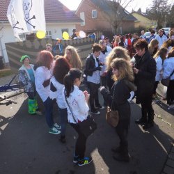 Faschingsumzug Mosbach 2015