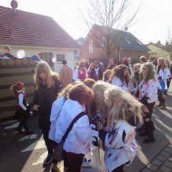 Faschingsumzug Mosbach 2015
