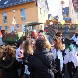 Faschingsumzug Mosbach 2015