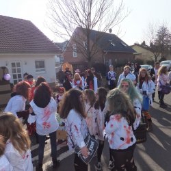 Faschingsumzug Mosbach 2015