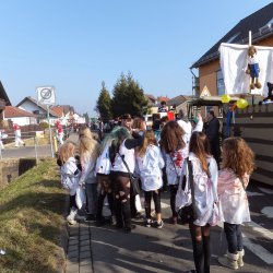 Faschingsumzug Mosbach 2015