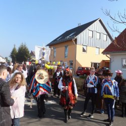 Faschingsumzug Mosbach 2015