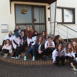 Faschingsumzug Mosbach 2015