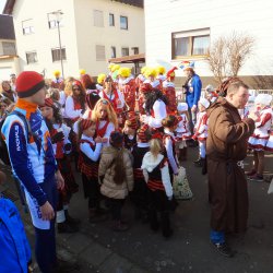 Faschingsumzug Mosbach 2015