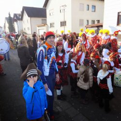 Faschingsumzug Mosbach 2015