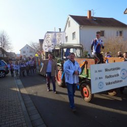 Faschingsumzug Mosbach 2015