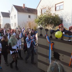 Faschingsumzug Mosbach 2015