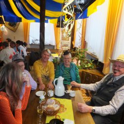 Faschingsumzug Mosbach 2015