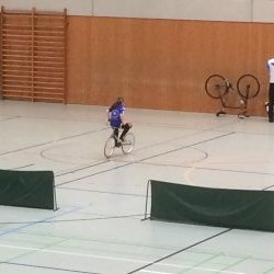 Bezirkspokalendlauf