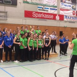 Bezirkspokalendlauf