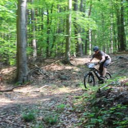 img_1227