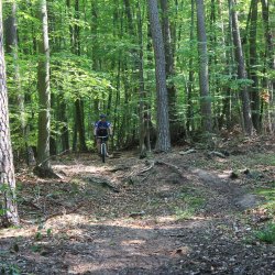 img_1235