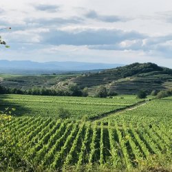 img_9784