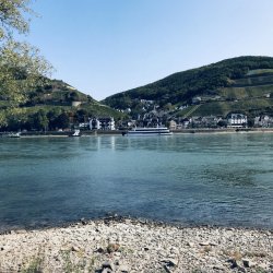 img_0237
