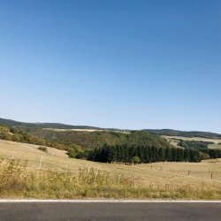 img_0302