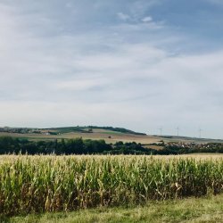 img_0333