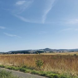 img_0344