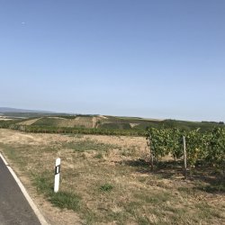 img_4104